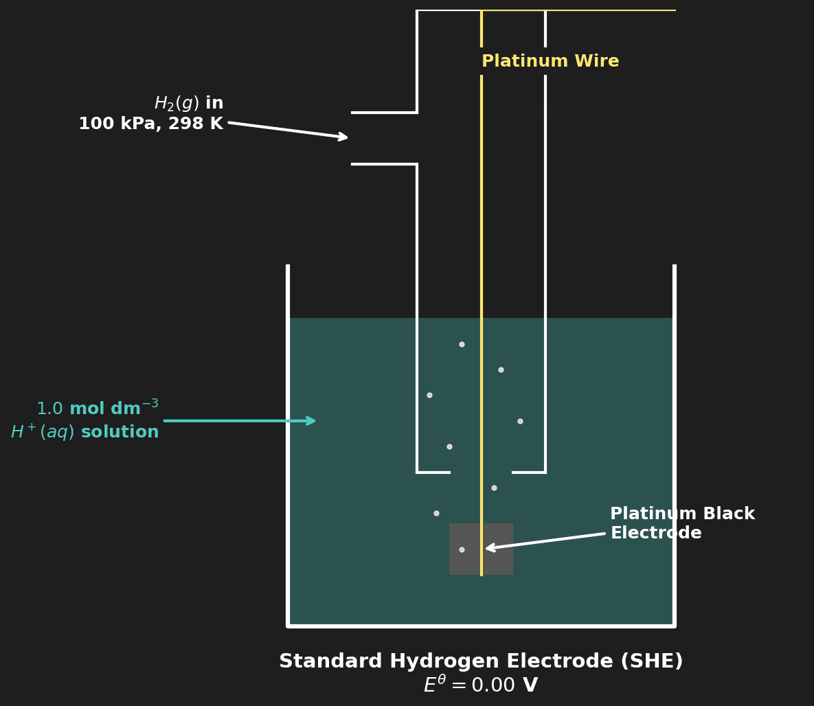 Standard Hydrogen Electrode (SHE)