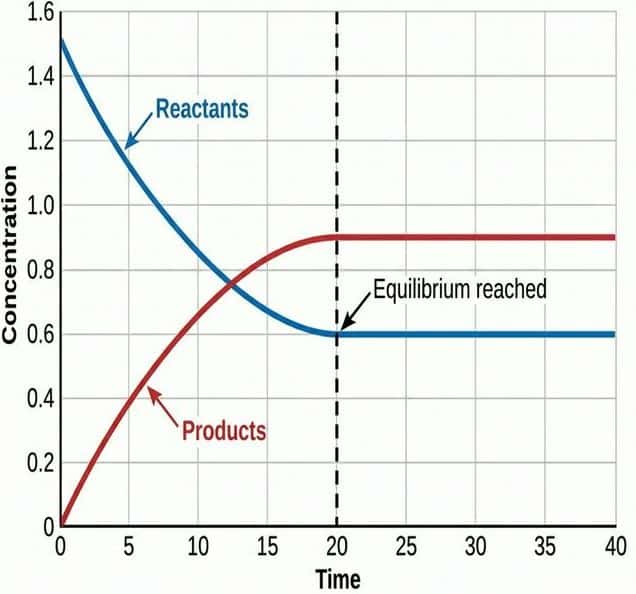Concentration vs time graph showing reactants decreasing and products increasing until equilibrium is reached